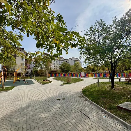 Armand De Sanelle ソフィア